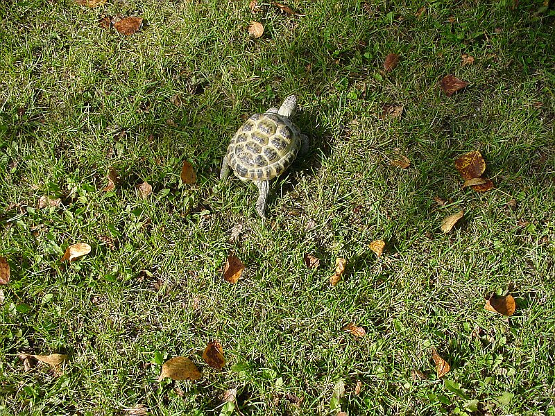 DSC02379.jpg