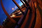 IMG_7841.jpg