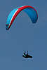 flypa_20.jpg